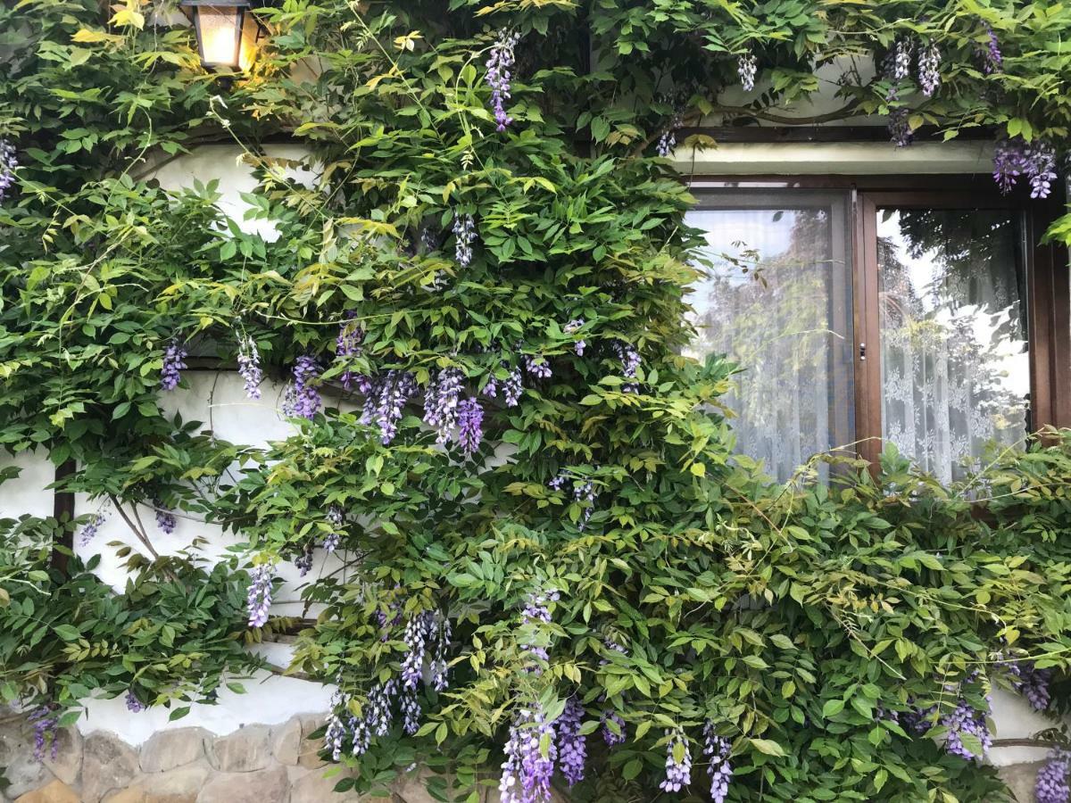 Casa Cu Suflet Hotel Sighisoara Ngoại thất bức ảnh